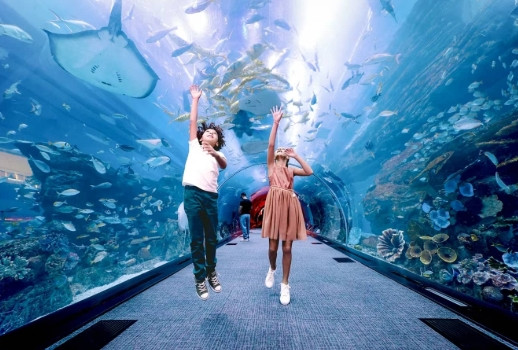 dubai aquarium & underwater zoo with penguin cove