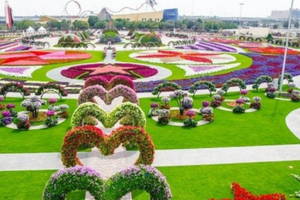 dubai miracle garden