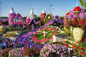 dubai miracle garden