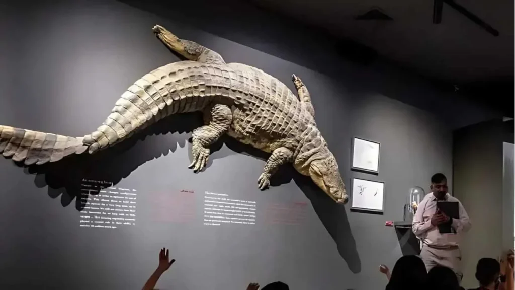 Dubai Crocodile Park